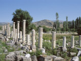 Columns, Archaeological Site, Aphrodisias, Anatolia, Turkey Photographic Print by R H Productions 