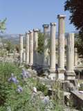 Columns, Archaeological Site, Aphrodisias, Anatolia, Turkey Photographic Print by R H Productions 