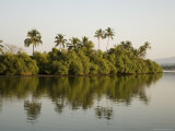 Backwater Near Mobor, Goa, India Photographic Print by R H Productions 