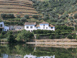Vineyards Near Pinhao, Douro Region, Portugal Photographic Print by R H Productions 
