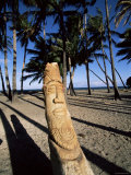Coconut Palm Carved into Tikis, Island of Hawaii, Hawaiian Islands, USA Photographic Print Coconut Palm Carved into Tikis, Island of Hawaii, Hawaiian Islands, USA Photographic Print