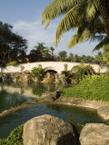 In the Garden at the Leela Hotel, Mobor, Goa, India Photographic Print by R H Productions 