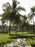 The Garden and Golf Course at the Leela Hotel, Mobor, Goa, India Photographic Print by R H Productions 