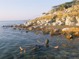Man Floating in Dead Sea, Jordan, Middle East Lámina fotográfica por Alison Wright