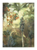 Papaya Limited Edition by Allyson Krowitz