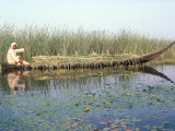 Man Gathering Reeds, Mashuf Boat, Marshes, Iraq, Middle East Photographic Print