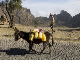 Donkey Carrying Water, Santo Antao, Cape Verde Islands, Africa Lámina fotográfica por R H Productions