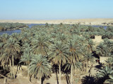 Looking North to Qa'Lat'Ana, Iraq, Middle East Photographic Print