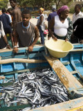 Fresh Fish Just Caught, Tarrafal, Santiago, Cape Verde Islands, Africa Photographic Print by R H Productions 