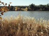 Autumn, Ana, on the River Euphrates, Iraq, Middle East Photographic Print