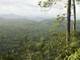 Ben's Bluff Lookout, Cockscomb Basin Sanctuary, Belize, Central America Photographic Print by Upperhall Ben's Bluff Lookout, Cockscomb Basin Sanctuary, Belize, Central America Photographic Print by Upperhall