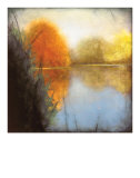 Autumn Marsh I Edition limitée par Mark St. John