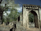 Gedi Ruins, Malindi, Kenya, East Africa, Africa Photographic Print by Upperhall 