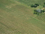 Orchards from the Air, Cayo District, Belize, Central America Photographic Print by Upperhall Orchards from the Air, Cayo District, Belize, Central America Photographic Print by Upperhall