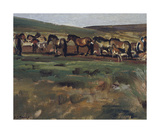 Exmoor Ponies Premium Giclee Print by Sir Alfred Munnings