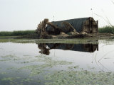 Mudhif (Guest House), Marshes, Iraq, Middle East Photographic Print