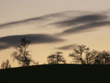 Pre-Storm, Hampstead Heath, London, England, United Kingdom Photographic Print by Upperhall 