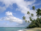 Palm Trees and Sea, Lalomanu Beach, Upolu Island, Western Samoa Photographie par Upperhall 