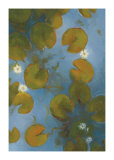 Blue Pool II Limited Edition by Kim Coulter