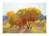 Autumn Day II Limited Edition by Kim Coulter Autumn Day II Limited Edition by Kim Coulter