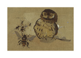 Owl And Bee Reproduction procédé giclée Premium par Joseph Crawhall