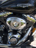 Harley Davidson Motorcycle, Key West, Florida, USA Photographic Print by R H Productions 