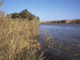 North Euphrates, Iraq, Middle East Photographic Print