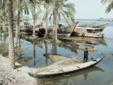 River Tigris, Near Qurna, Iraq, Middle East Photographic Print