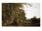 Windsor Woods Giclee-trykk av Robert Blum