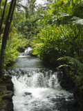 Tabacon Hot Springs, Volcanic Hot Springs Fed from the Arenal Volcano, Arenal, Costa Rica Photographie par R H Productions 