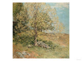 Budding Oak, 1906 Giclee-trykk av Robert Blum