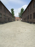 Auschwitz Concentration Camp, Now a Memorial and Museum, Unesco World Heritage Site, Poland Photographic Print by R H Productions 