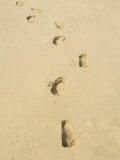 Praia De Santa Monica (Santa Monica Beach), Boa Vista, Cape Verde Islands, Atlantic, Africa Photographic Print by R H Productions 
