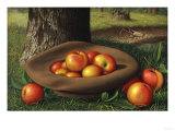 Apples in a Brown Hat Giclee Print by Thomas Birch