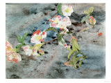 Fleurs de pêcher Reproduction procédé giclée par Henry Alexander