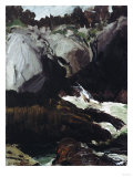 Gorge and Sea, 1911 Giclee Print by John James Audubon