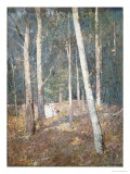 Red Earth Giclee Print by Henry Alexander