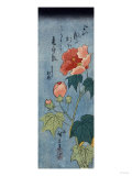Flowering Poppies Giclee-trykk av Okada Beisanjin Flowering Poppies Giclee-trykk av Okada Beisanjin
