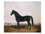 Manbrino Patchen 58, in an Extensive Landscape, 1867 reproduction procédé giclée par Henry Thomas Alken