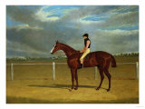The Racehorse 'The Colonel' with William Scott Up Lámina giclée por Federico Ballesio The Racehorse 'The Colonel' with William Scott Up Lámina giclée por Federico Ballesio