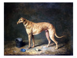 A Deerhound in a Stable Interior, 1817 Giclee Print by Henry Thomas Alken