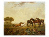 Hunters out at Grass, 1808 Giclee-trykk av Federico Ballesio