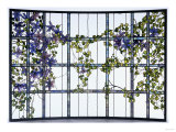 A 'Clematis' Leaded Glass Three-Sectioned Skylight, Akron, Ohio, Circa 1915 Giclee Print by Maurice Bouval