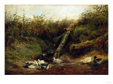 Ducks at a Brook, 1872 Giclee Print by Arthur Fitzwilliam Tait