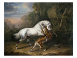 A Tiger Attacking an Arabian Stallion, 1824 Giclee-trykk av Giovanni Battista Benvenuti