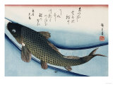 Carp', from the Series 'Collection of Fish' reproduction procédé giclée par Ando Hiroshige