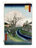 Cherry Blossoms, Tama River Embankment reproduction procédé giclée par Ando Hiroshige