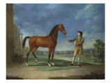 An Arab Stallion Held by a Groom Giclee Print by Federico Ballesio