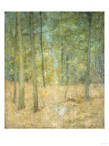 A Light in the Forest Giclee Print by Soren Emil Carlsen