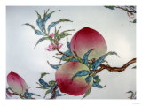 Detail from a Magnificent Famille Rose Nine-Peach Globular Bottle Vase Giclee Print